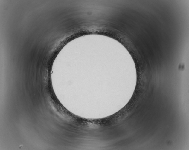 X0000114240592200911201135