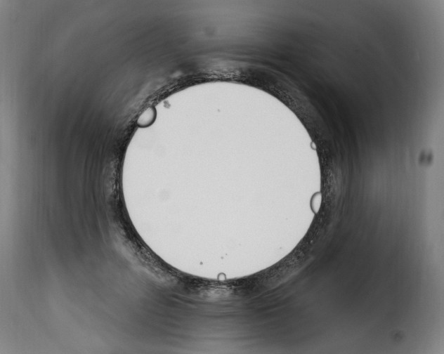 X0000114240600200911201135