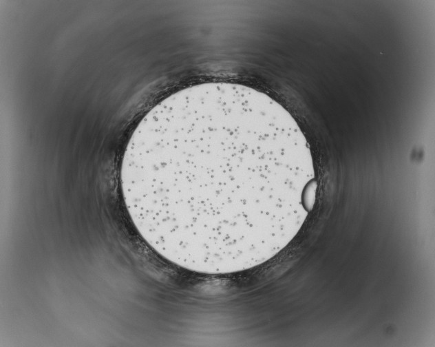 X0000114240609200911201135