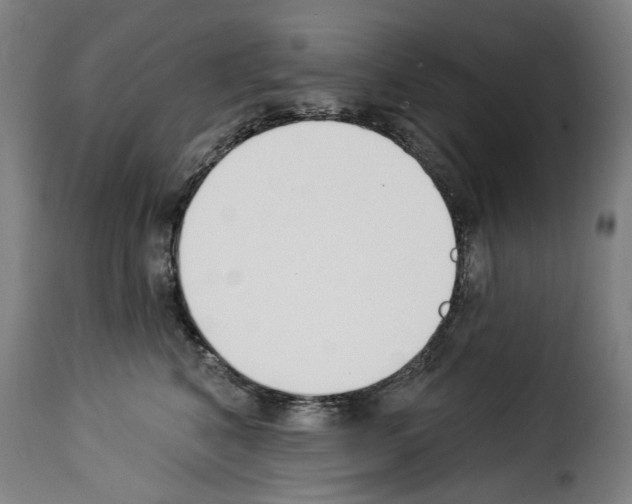 X0000114240616200911201135