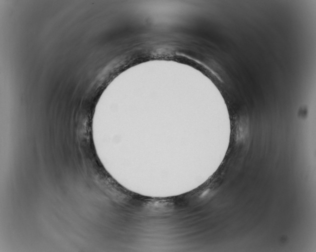 X0000114240619200911201135