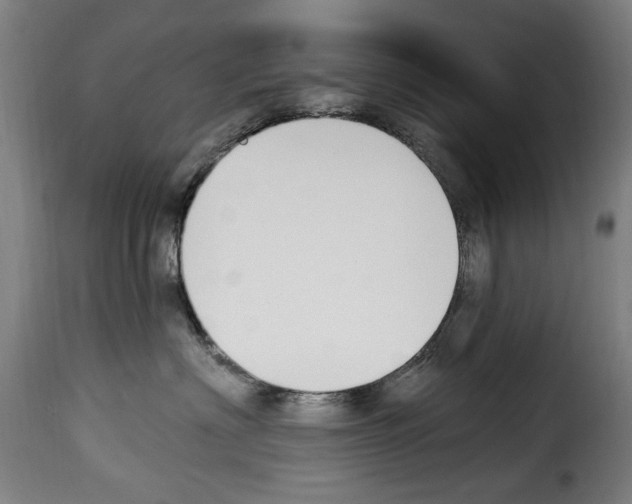 X0000114240622200911201135