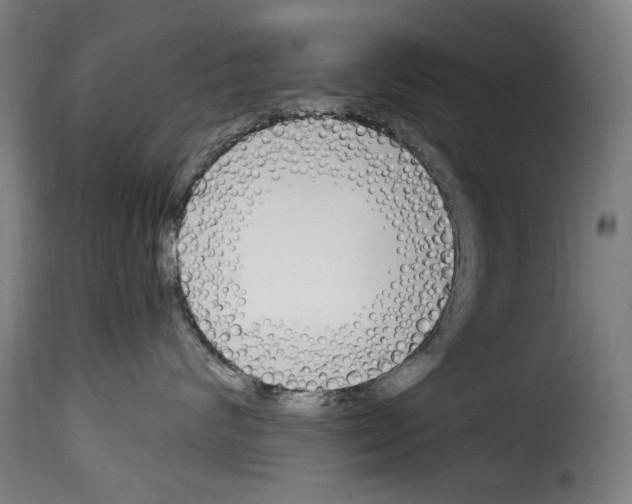 X0000114240624200911201135