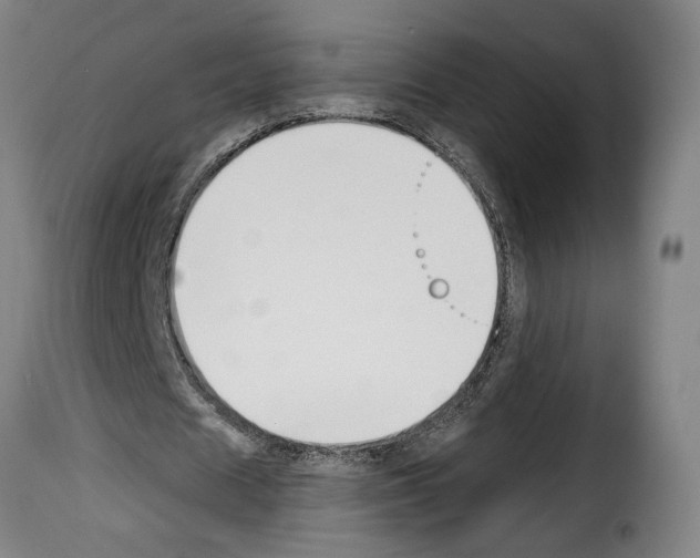 X0000114240625200911201134