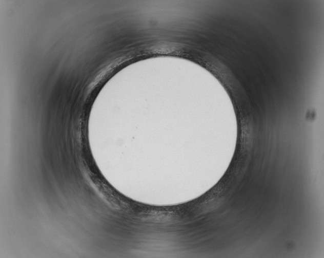 X0000114240626200911201134