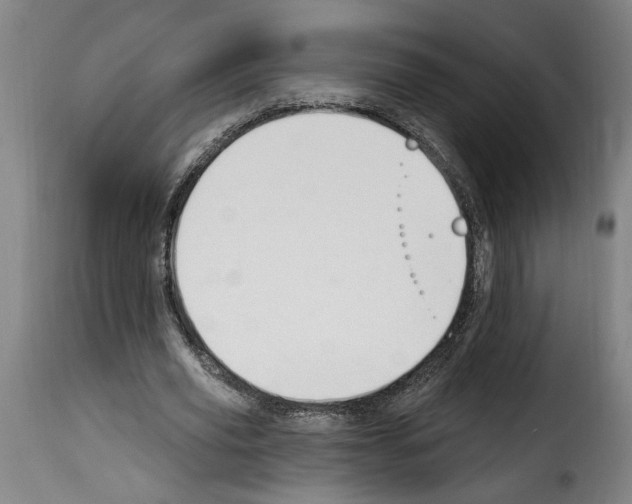 X0000114240629200911201134