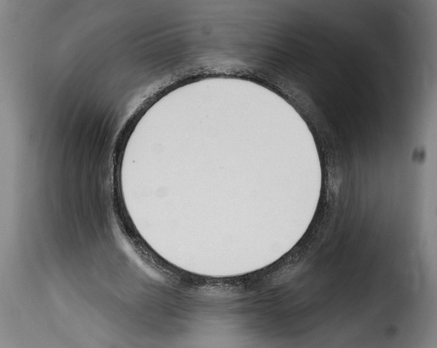 X0000114240630200911201134