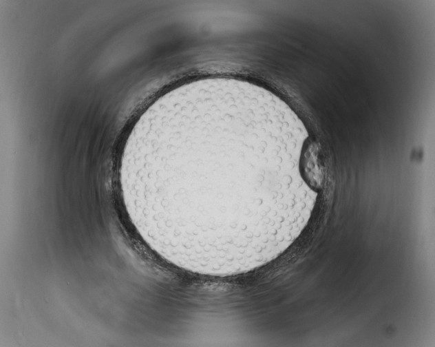 X0000114240631200911201134