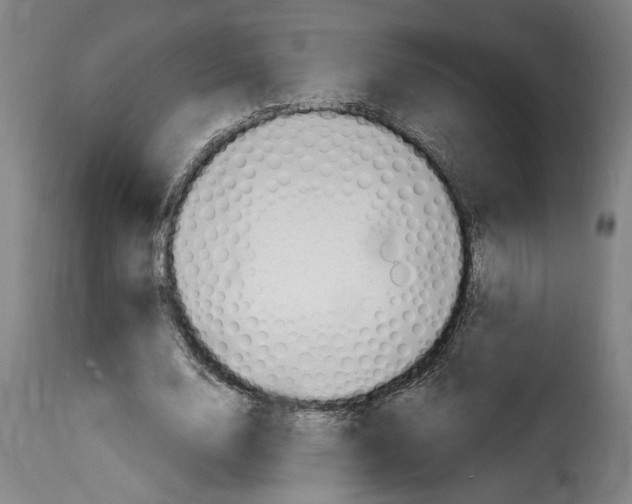 X0000114240632200911201134