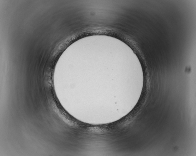 X0000114240633200911201134