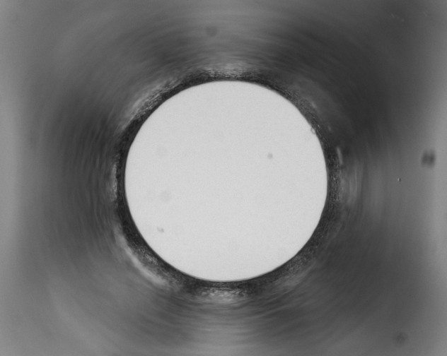 X0000114240638200911201134