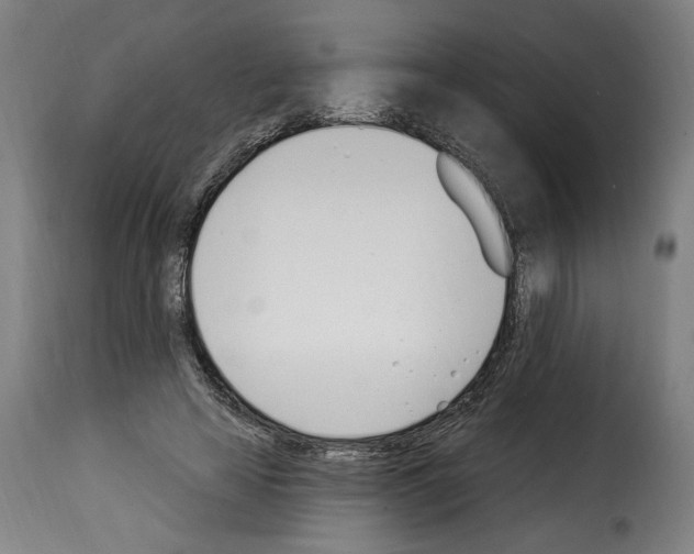 X0000114240641200911201134