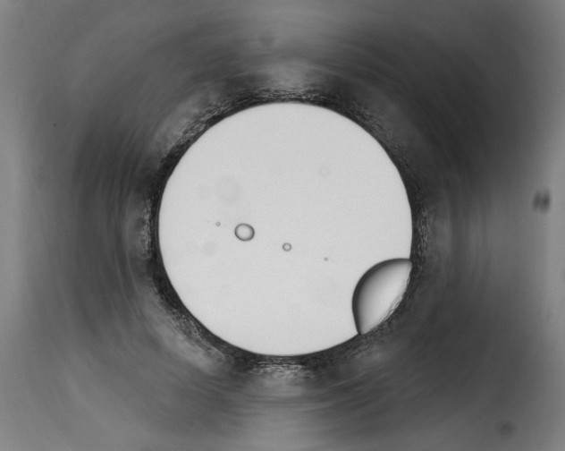 X0000114240642200911201134