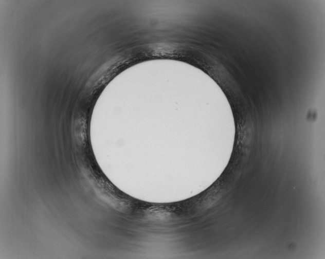 X0000114240648200911201134