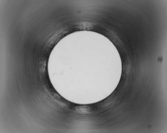 X0000114240652200911201134