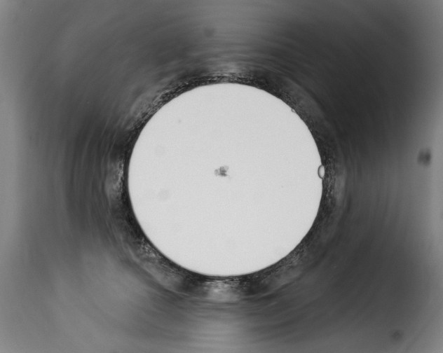 X0000114240660200911201135