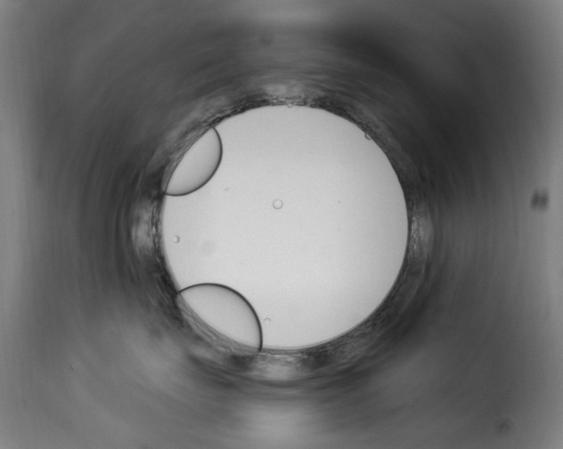 X0000114240671200911201135