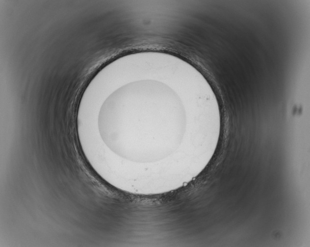 X0000114240673200911201134