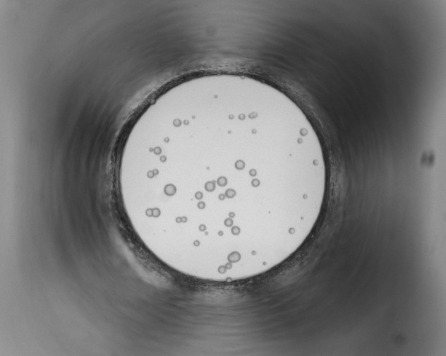 X0000114240674200911201134