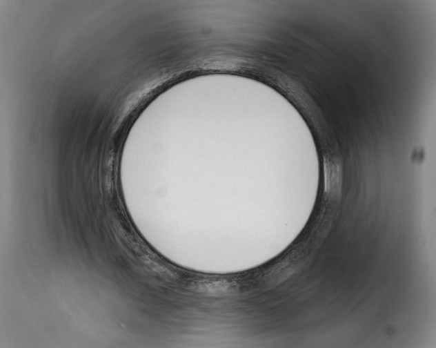 X0000114240675200911201134