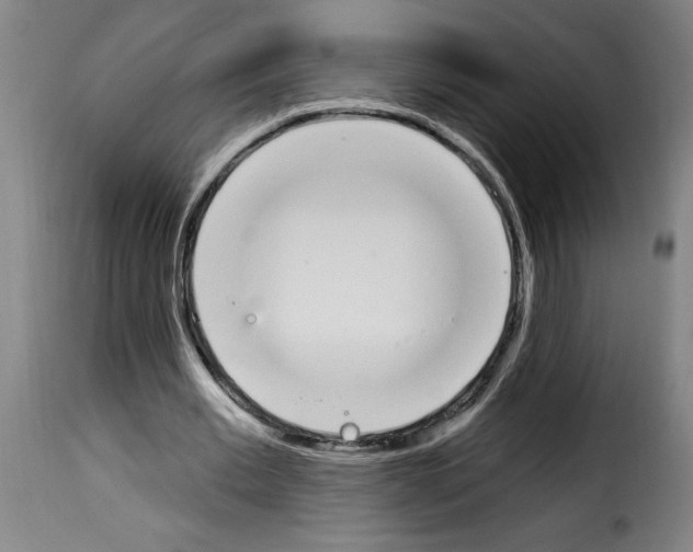 X0000114240677200911201134