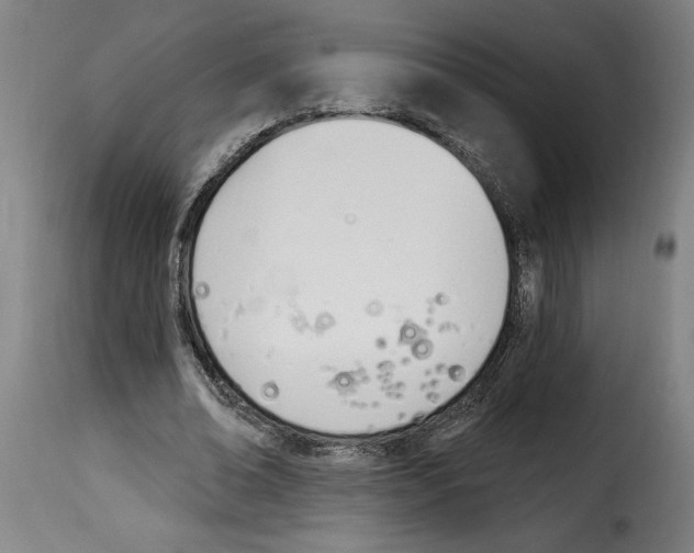 X0000114240678200911201134