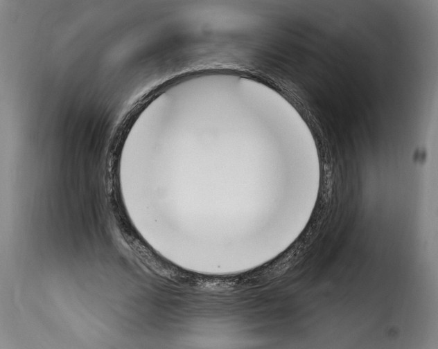 X0000114240680200911201134