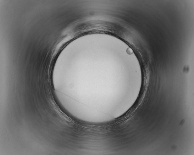 X0000114240681200911201134