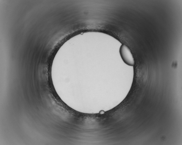 X0000114240684200911201134