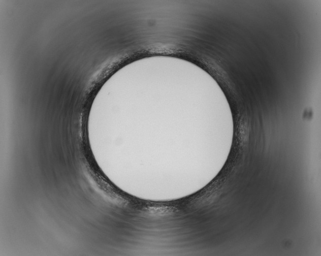 X0000114240686200911201134