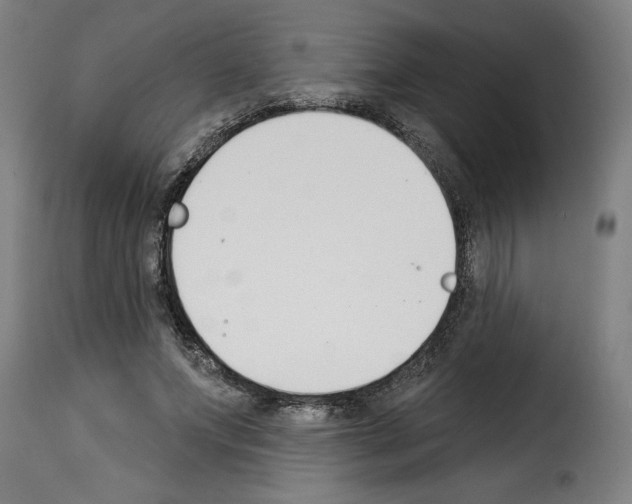 X0000114240687200911201134