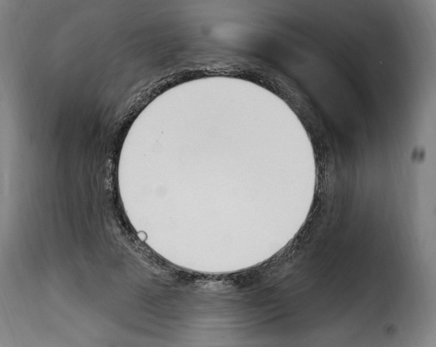 X0000114240689200911201134