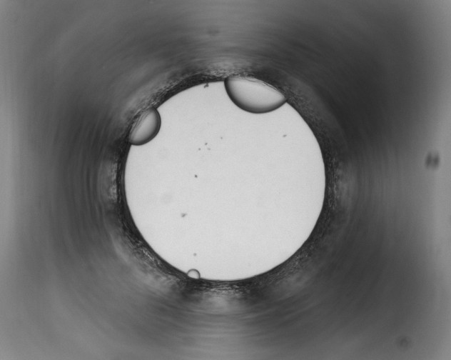 X0000114240696200911201134