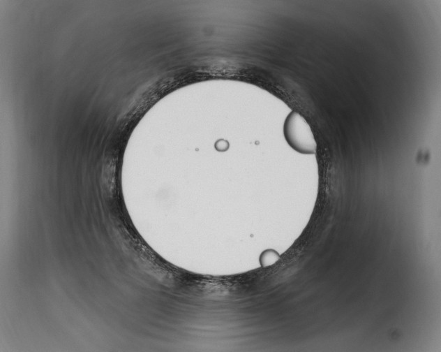 X0000114240697200911201134