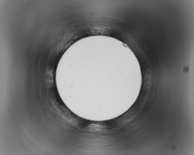 X0000114240699200911201134