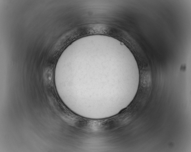 X0000114240701200911201134