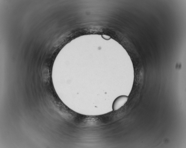 X0000114240704200911201134