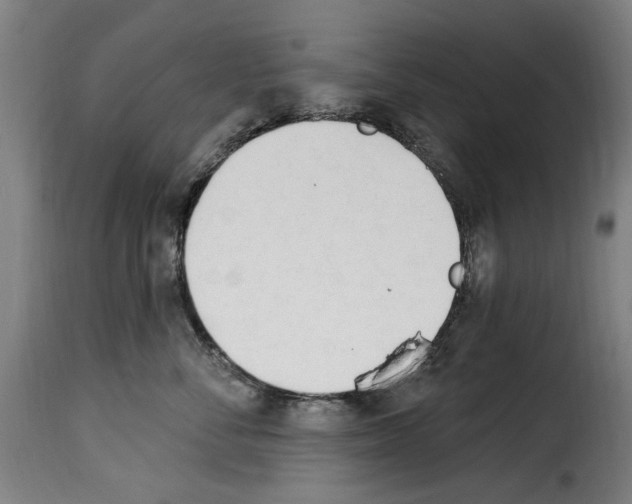 X0000114240716200911201133