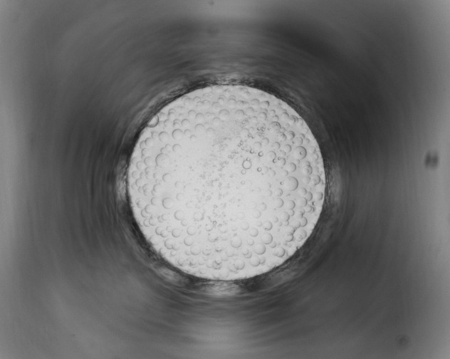 X0000114240719200911201133