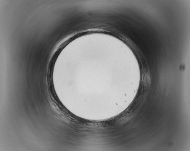 X0000114240724200911201133