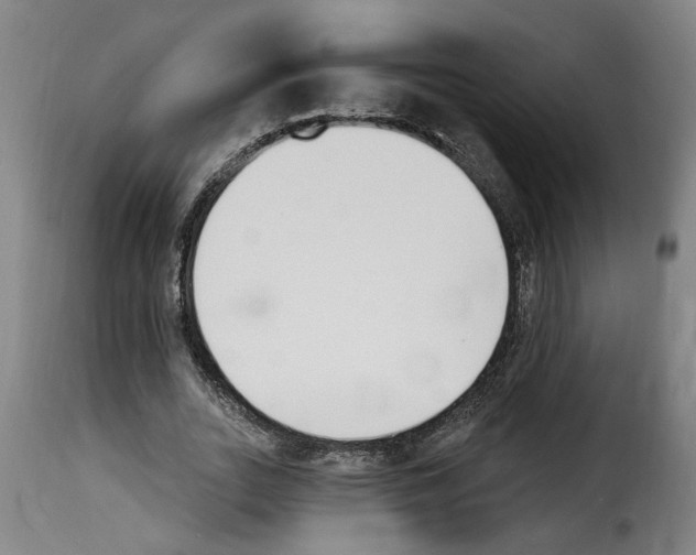 X0000114240727200911201133