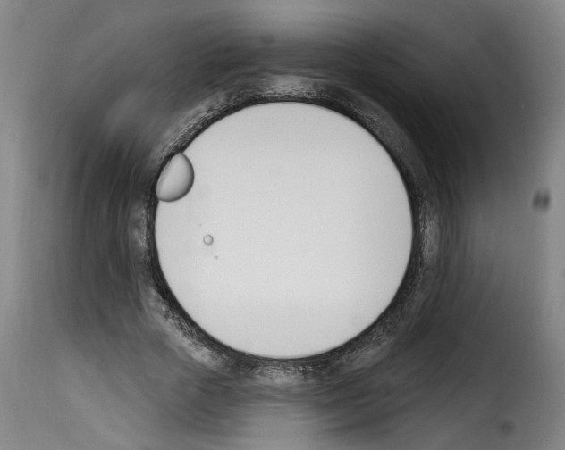 X0000114240729200911201133