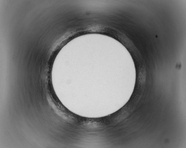 X0000114240730200911201133