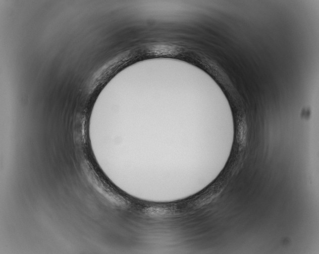 X0000114240733200911201133