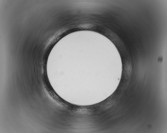 X0000114240734200911201133