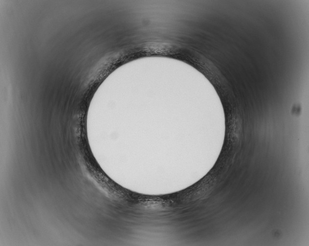 X0000114240738200911201133