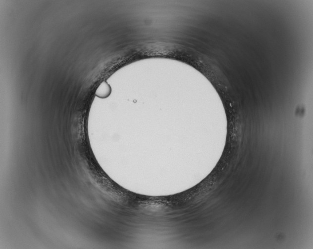 X0000114240743200911201133