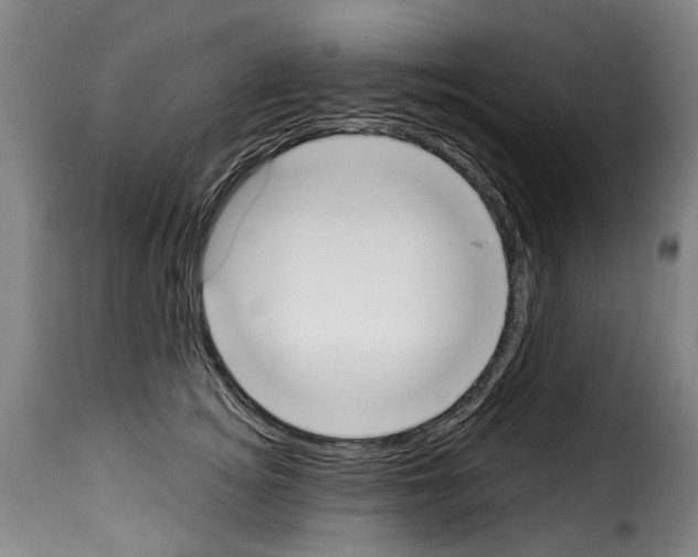 X0000114240756200911201133