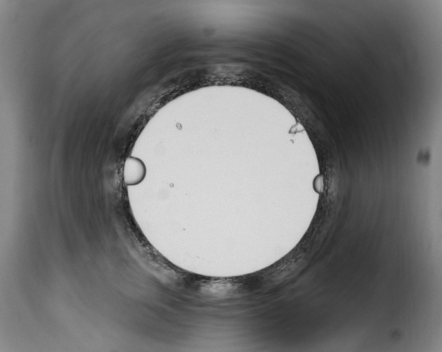 X0000114240759200911201133