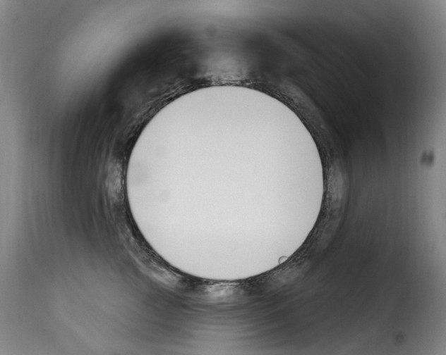 X0000114240761200911201133